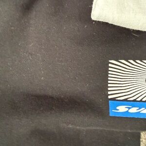 Sunbeam Black and Light Gray Fabric